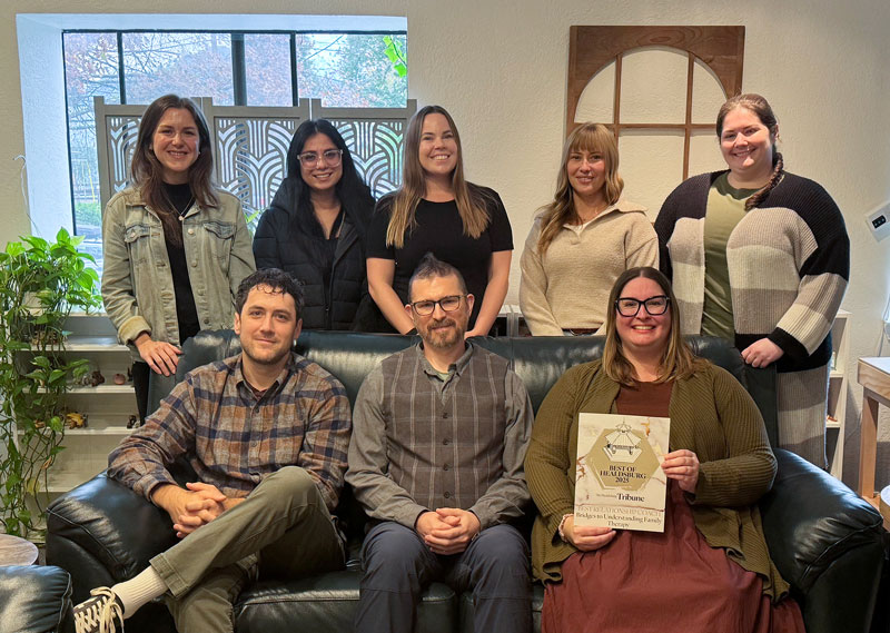 Bridges to Understanding Family Therapy Services