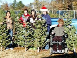 Done with your Christmas trees?