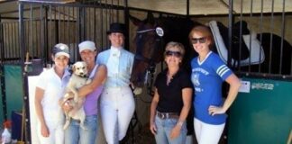 Dressage: ballet on horseback