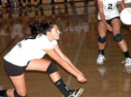 Grassl era begins anew for El Mo volleyballers
