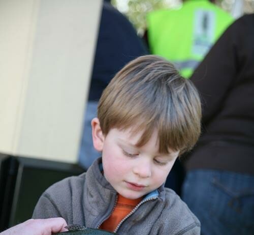 Steelhead Festival honors struggling fish