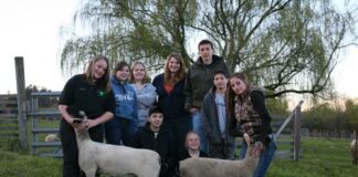 On the Lamb: 4H Sheep Projects Get Going