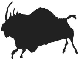 Making Meat – A Carnivore’s Connection
