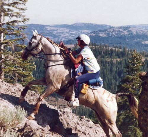 Equus Awards – March 13