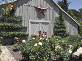 Sonoma County Master Gardeners: Answers for the home gardening blues