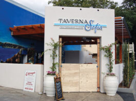 New local restaurants bring diversity