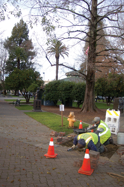 Sprucing up the Plaza