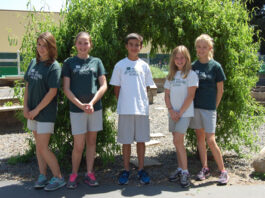 Students complete service projects