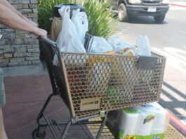 An ordinance banning plastic bags at stores will begin on Sept. 1