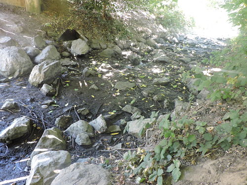 Foss Creek Experiencing Dry Spells