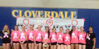 Cloverdale volleyballers log wins over Willits