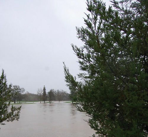 Windsor weathered well in recent storm