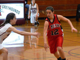 El Molino Lion cagers fall to Sonoma Valley in overtime thriller