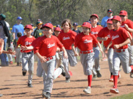 Sebastopol Little League Opening Day set for April 2, celebrates 59th season