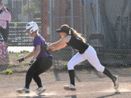 Tigers, Petaluma tied in final week of league softball: two games remain