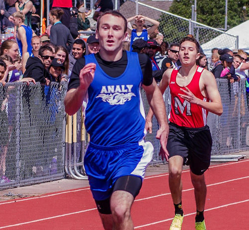 Running Tigers take on Healdsburg in SCL dual meet finale