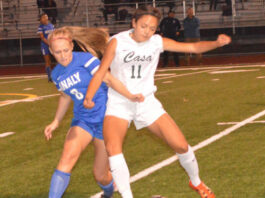 Lady Lions, Tigers bounced in NCS playoffs