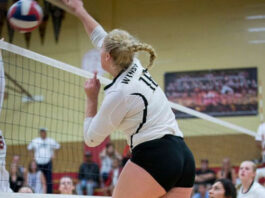 WHS volleyballers advance to NCS playoff semifinals