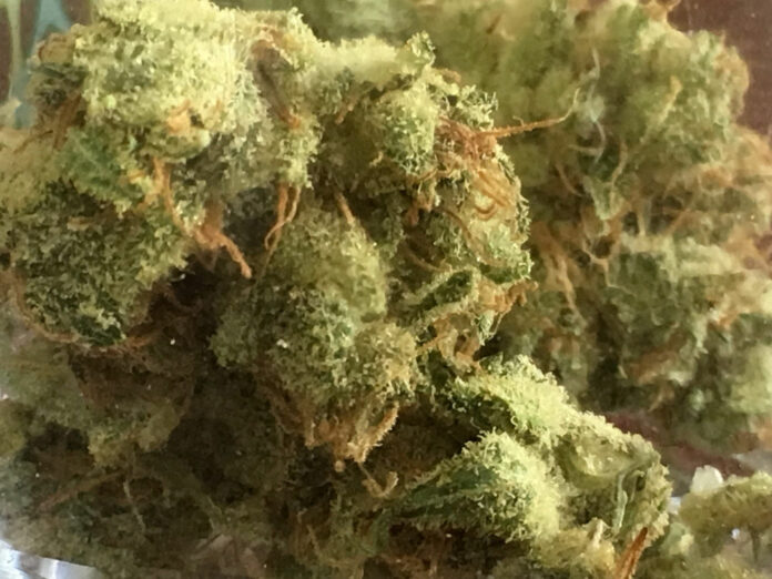 Cash crop