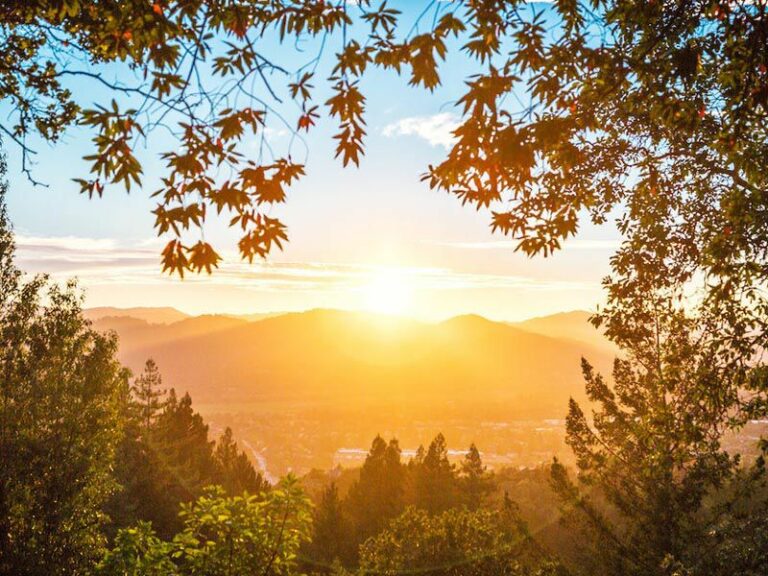 Analysis: Furor over Fitch Mountain event concept