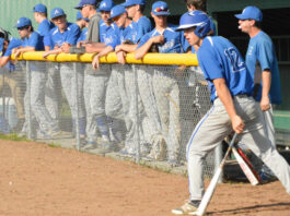 Lions, Tigers pound Lobos, horsehide in SCL romps