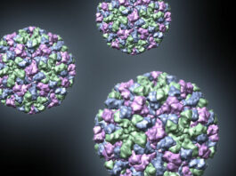 Officials warn of potential Norovirus outbreak in Sonoma County Schools