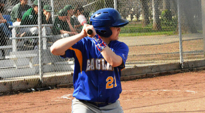 Thanks for the memories: A tribute to the graduating senior athletes of 2017