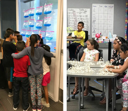 Summer school ends with sharing knowledge