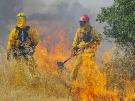 Cal Fire still busier than average despite rainy winter