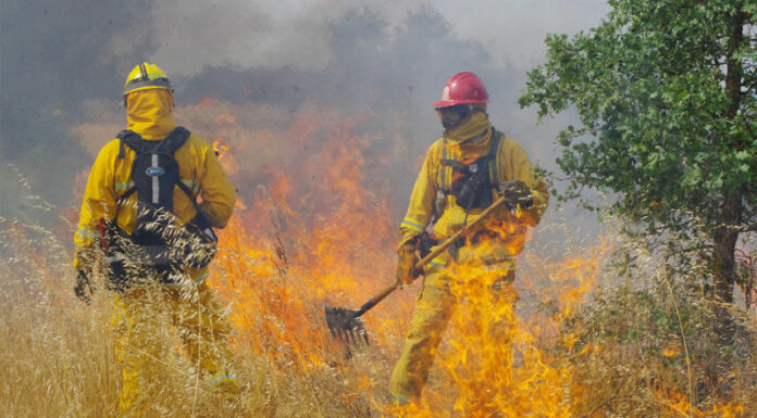 Cal Fire still busier than average despite rainy winter