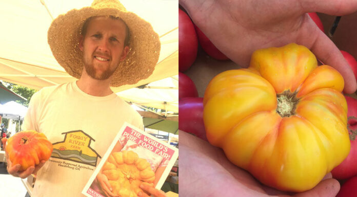 Heirloom Expo returns with new exhibits and speakers