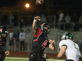 Lions rout Ferndale, 38-7 in pre-league football finale