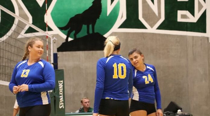 Volleyballers continue winning ways