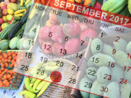 Wednesday farmers’ market to close Sept. 27