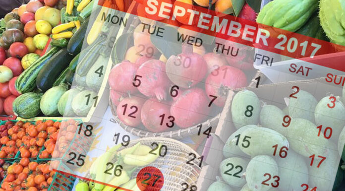 Wednesday farmers’ market to close Sept. 27