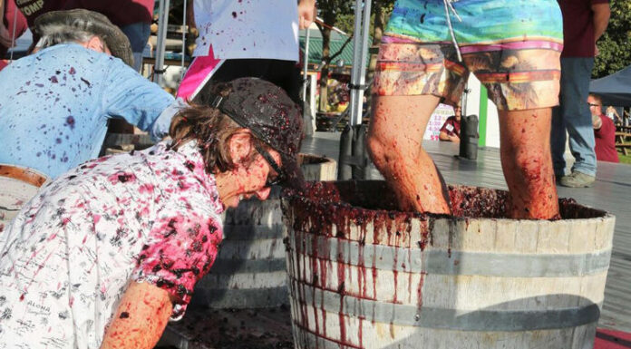 Harvest continues as annual fair approaches