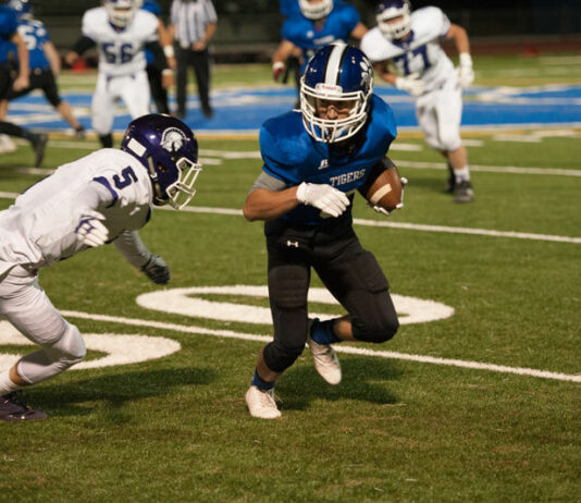 Tigers shock Petaluma; Lions pound Piner