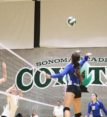 Eagles off to hot start on volleyball circuit