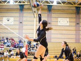 Volleyballers close out NBL season; land 8th seed in NCS playoffs