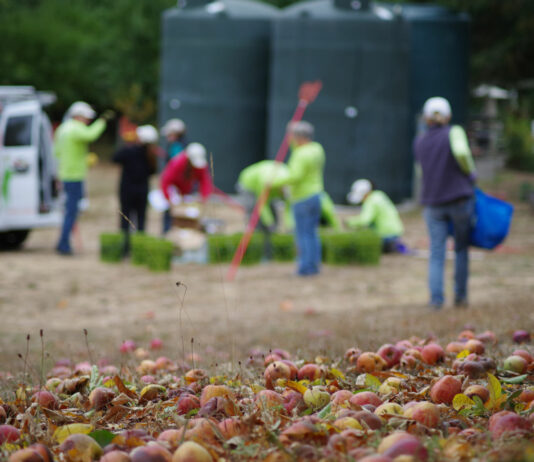 Nonprofit feeding county through gleaning