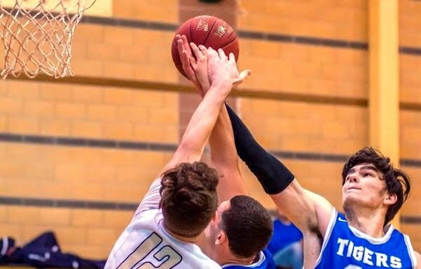 Flying Tigers take aim at an SCL hoops repeat