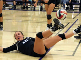 Volleyballers wrap up season in NCS playoffs