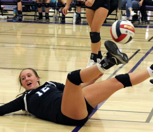 Volleyballers wrap up season in NCS playoffs