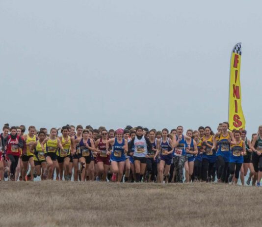 Running Eagles shine at CMC cross country finals