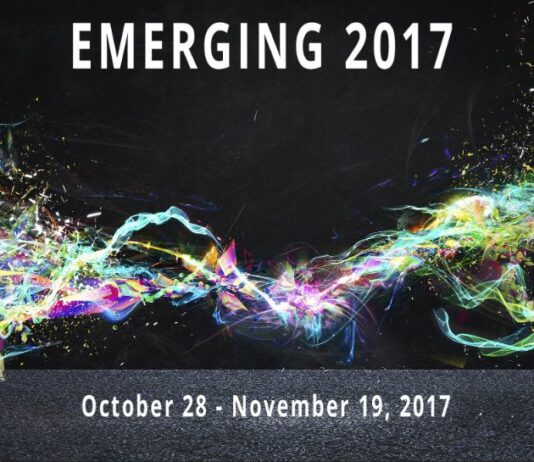 Emerging Artists Exhibition, Oct. 28 to Nov. 19