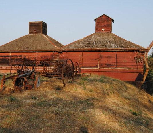 Westside Farms caught up in local fight for more restrictions of vineyards