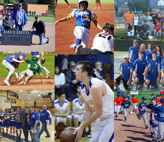 2017, a year to remember in local sports (part 1)