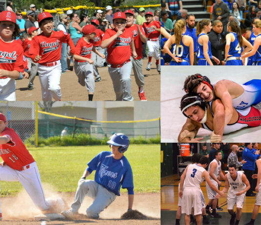2017, a year to remember in local sports (part 1)
