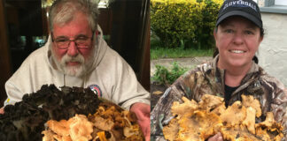 Fun, food and fungi among the forest floor