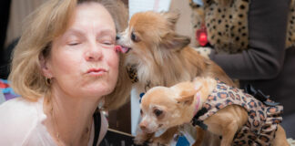 ‘Give Me Shelter’ event raises $102K